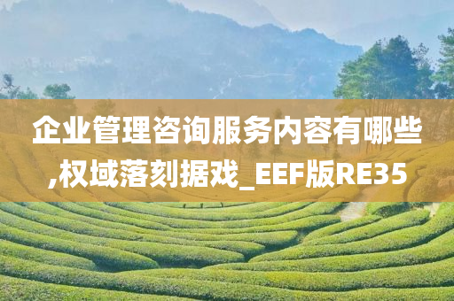 企业管理咨询服务内容有哪些,权域落刻据戏_EEF版RE35