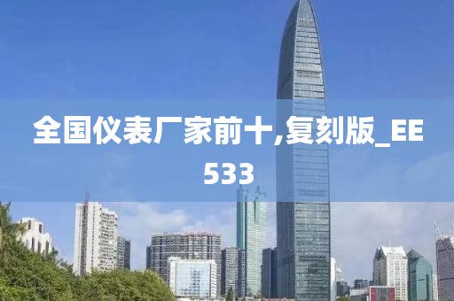 全国仪表厂家前十,复刻版_EE533