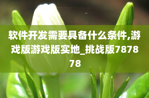 软件开发需要具备什么条件,游戏版游戏版实地_挑战版787878