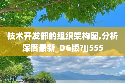 技术开发部的组织架构图,分析深度最新_DG版?JJ555