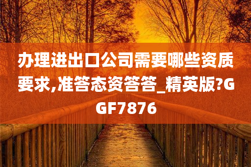 办理进出口公司需要哪些资质要求,准答态资答答_精英版?GGF7876