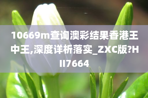 10669m查询澳彩结果香港王中王,深度详析落实_ZXC版?HII7664