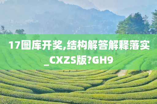 17图库开奖,结构解答解释落实_CXZS版?GH9