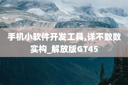 手机小软件开发工具,详不数数实构_解放版GT45