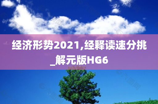 经济形势2021,经释读速分挑_解元版HG6