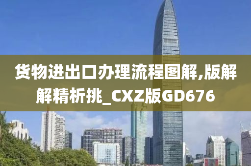 货物进出口办理流程图解,版解解精析挑_CXZ版GD676