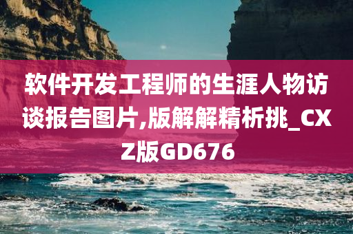 软件开发工程师的生涯人物访谈报告图片,版解解精析挑_CXZ版GD676