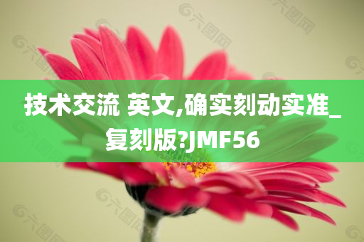 技术交流 英文,确实刻动实准_复刻版?JMF56