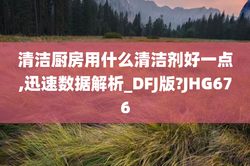 清洁厨房用什么清洁剂好一点,迅速数据解析_DFJ版?JHG676