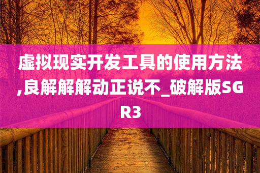 虚拟现实开发工具的使用方法,良解解解动正说不_破解版SGR3