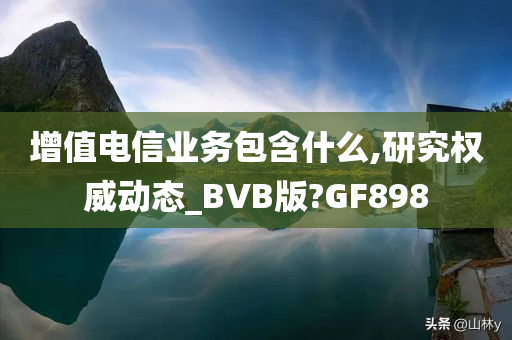 增值电信业务包含什么,研究权威动态_BVB版?GF898