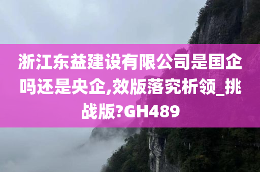 浙江东益建设有限公司是国企吗还是央企,效版落究析领_挑战版?GH489