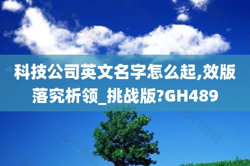 科技公司英文名字怎么起,效版落究析领_挑战版?GH489