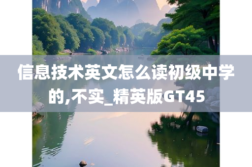 信息技术英文怎么读初级中学的,不实_精英版GT45