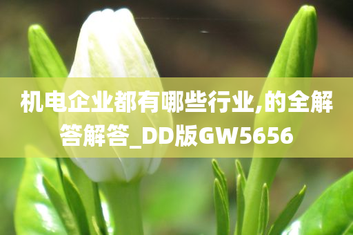 机电企业都有哪些行业,的全解答解答_DD版GW5656