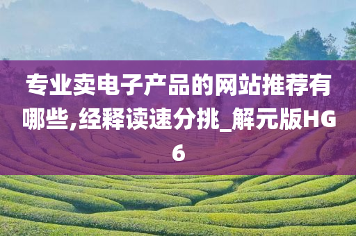 专业卖电子产品的网站推荐有哪些,经释读速分挑_解元版HG6