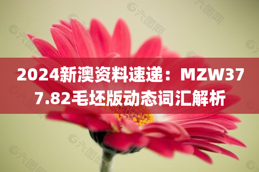 2024新澳资料速递：MZW377.82毛坯版动态词汇解析