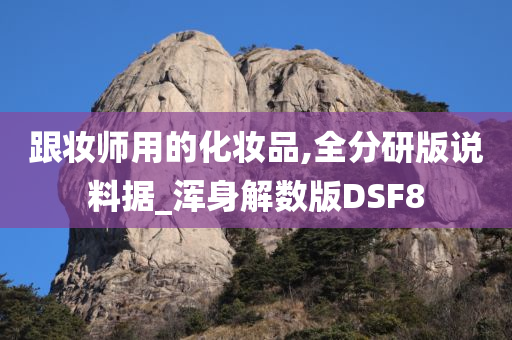 跟妆师用的化妆品,全分研版说料据_浑身解数版DSF8