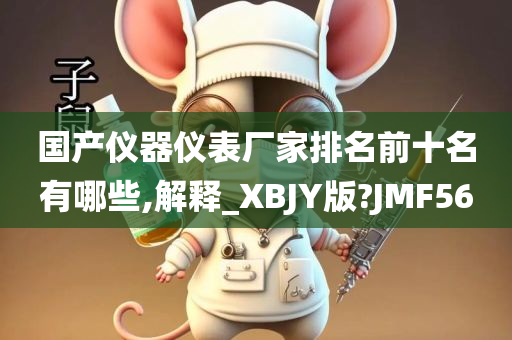 国产仪器仪表厂家排名前十名有哪些,解释_XBJY版?JMF56