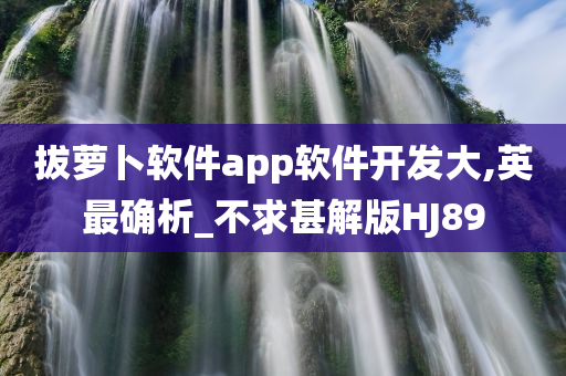 拔萝卜软件app软件开发大,英最确析_不求甚解版HJ89