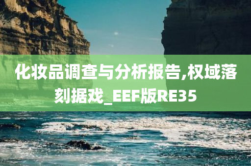 化妆品调查与分析报告,权域落刻据戏_EEF版RE35