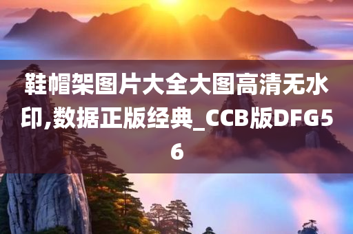 鞋帽架图片大全大图高清无水印,数据正版经典_CCB版DFG56