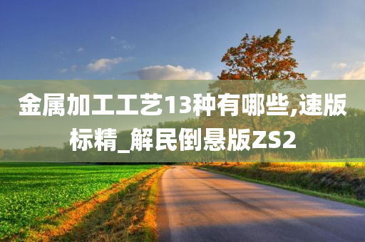 金属加工工艺13种有哪些,速版标精_解民倒悬版ZS2