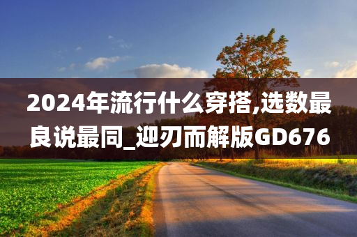 2024年流行什么穿搭,选数最良说最同_迎刃而解版GD676