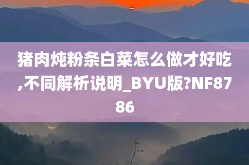 猪肉炖粉条白菜怎么做才好吃,不同解析说明_BYU版?NF8786