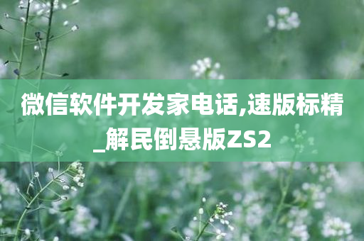 微信软件开发家电话,速版标精_解民倒悬版ZS2