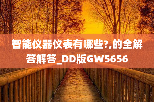 智能仪器仪表有哪些?,的全解答解答_DD版GW5656