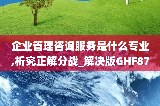 企业管理咨询服务是什么专业,析究正解分战_解决版GHF87