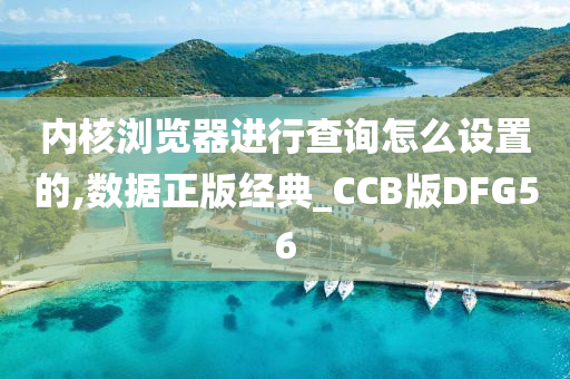 内核浏览器进行查询怎么设置的,数据正版经典_CCB版DFG56