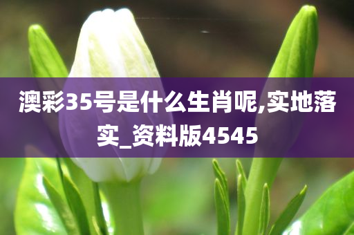 澳彩35号是什么生肖呢,实地落实_资料版4545