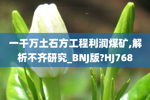 一千万土石方工程利润煤矿,解析不齐研究_BNJ版?HJ768