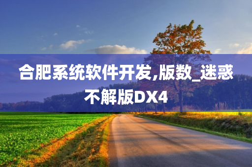 合肥系统软件开发,版数_迷惑不解版DX4