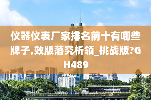 仪器仪表厂家排名前十有哪些牌子,效版落究析领_挑战版?GH489