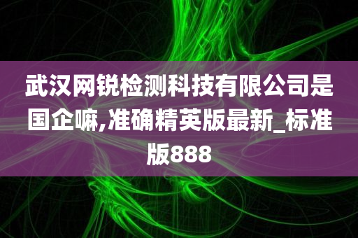 武汉网锐检测科技有限公司是国企嘛,准确精英版最新_标准版888