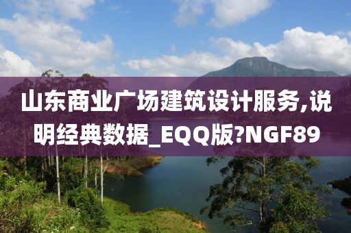 山东商业广场建筑设计服务,说明经典数据_EQQ版?NGF89