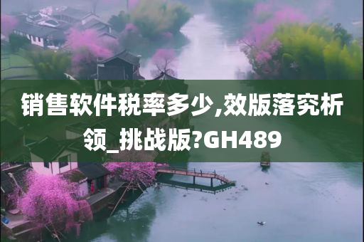 销售软件税率多少,效版落究析领_挑战版?GH489