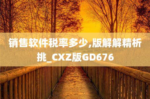 销售软件税率多少,版解解精析挑_CXZ版GD676