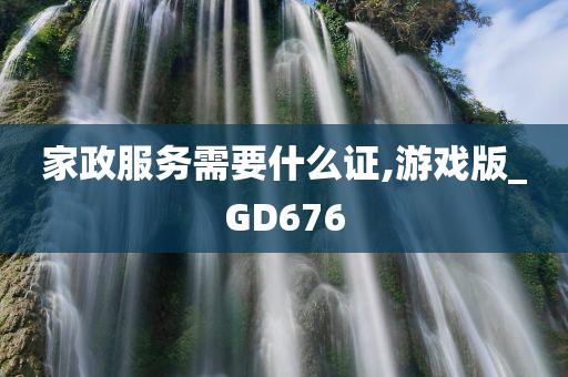 家政服务需要什么证,游戏版_GD676