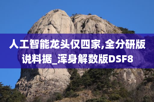 人工智能龙头仅四家,全分研版说料据_浑身解数版DSF8