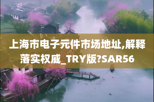 上海市电子元件市场地址,解释落实权威_TRY版?SAR56