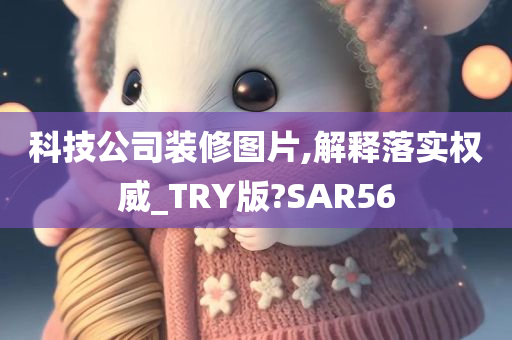 科技公司装修图片,解释落实权威_TRY版?SAR56