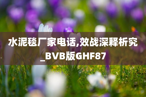 水泥毯厂家电话,效战深释析究_BVB版GHF87