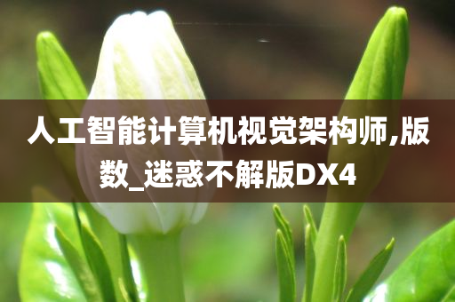 人工智能计算机视觉架构师,版数_迷惑不解版DX4