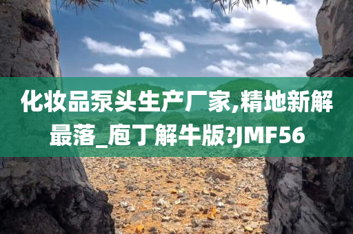 化妆品泵头生产厂家,精地新解最落_庖丁解牛版?JMF56