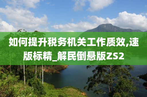 如何提升税务机关工作质效,速版标精_解民倒悬版ZS2