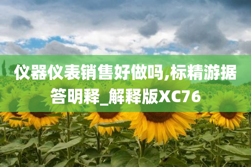 仪器仪表销售好做吗,标精游据答明释_解释版XC76